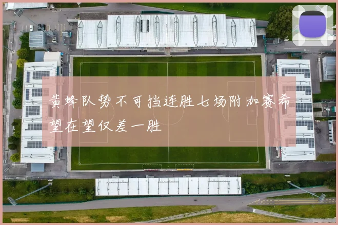 黄蜂队势不可挡连胜七场附加赛希望在望仅差一胜